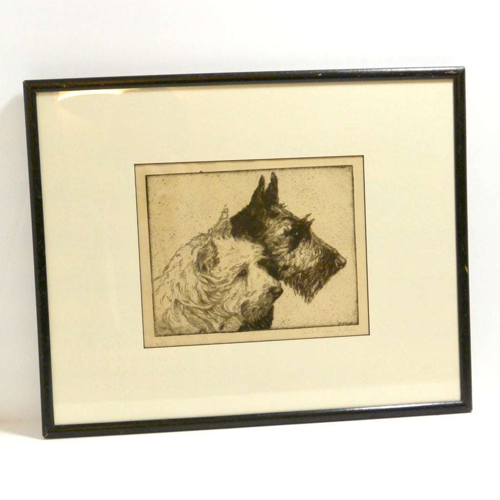 Withe Dog Tale Scottie and Westie Portrait Etching Print - A Dogs Tale Collectibles